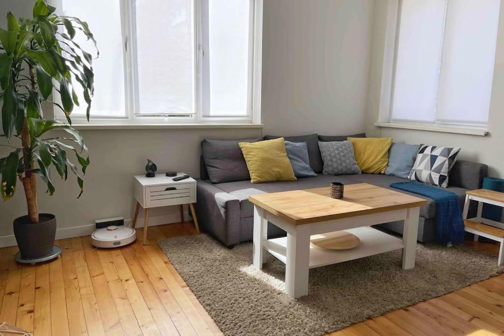 Cozy & Boho Top Center Apartment โซเฟีย ภายนอก รูปภาพ