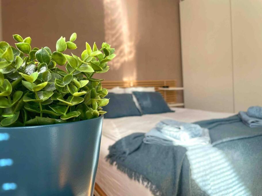 Cozy & Boho Top Center Apartment โซเฟีย ภายนอก รูปภาพ